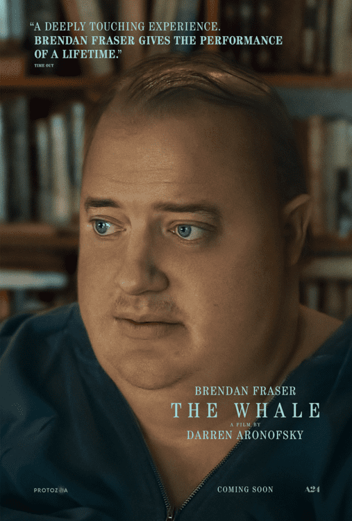 iptv 62 THE-WHALE